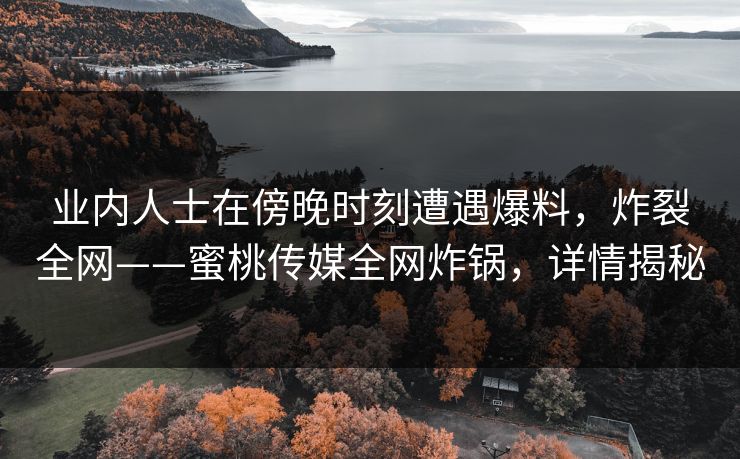 业内人士在傍晚时刻遭遇爆料，炸裂全网——蜜桃传媒全网炸锅，详情揭秘
