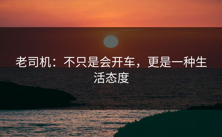 老司机：不只是会开车，更是一种生活态度