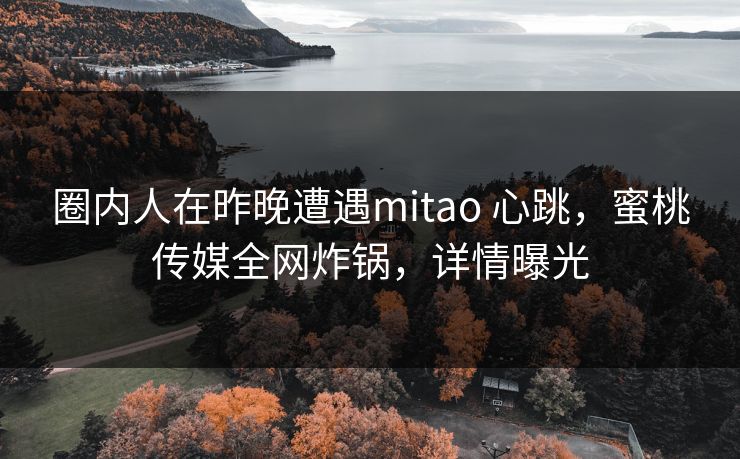 圈内人在昨晚遭遇mitao 心跳，蜜桃传媒全网炸锅，详情曝光
